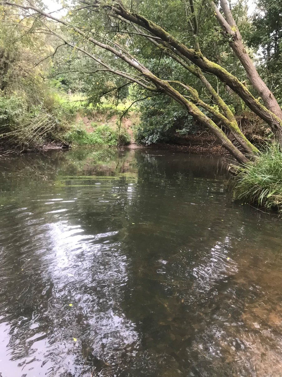 Image shows Micker Brook watercourse cleared of blockage 