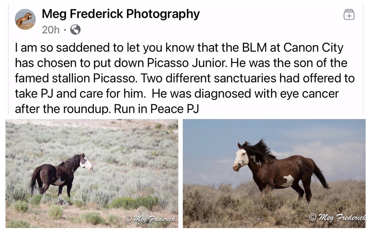 Blueequus775's tweet image. .@BLM_CO