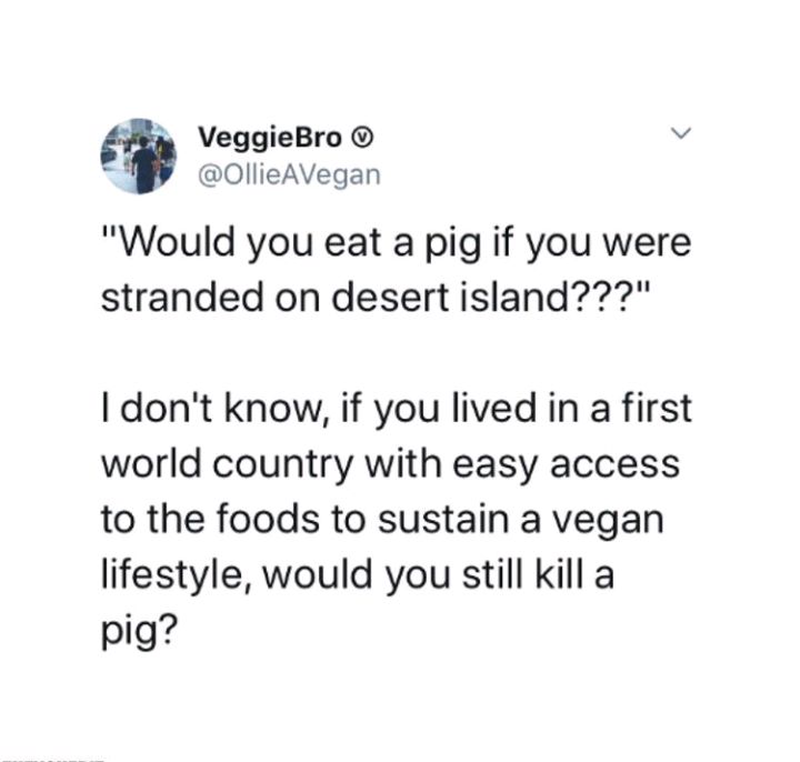 #message #govegan