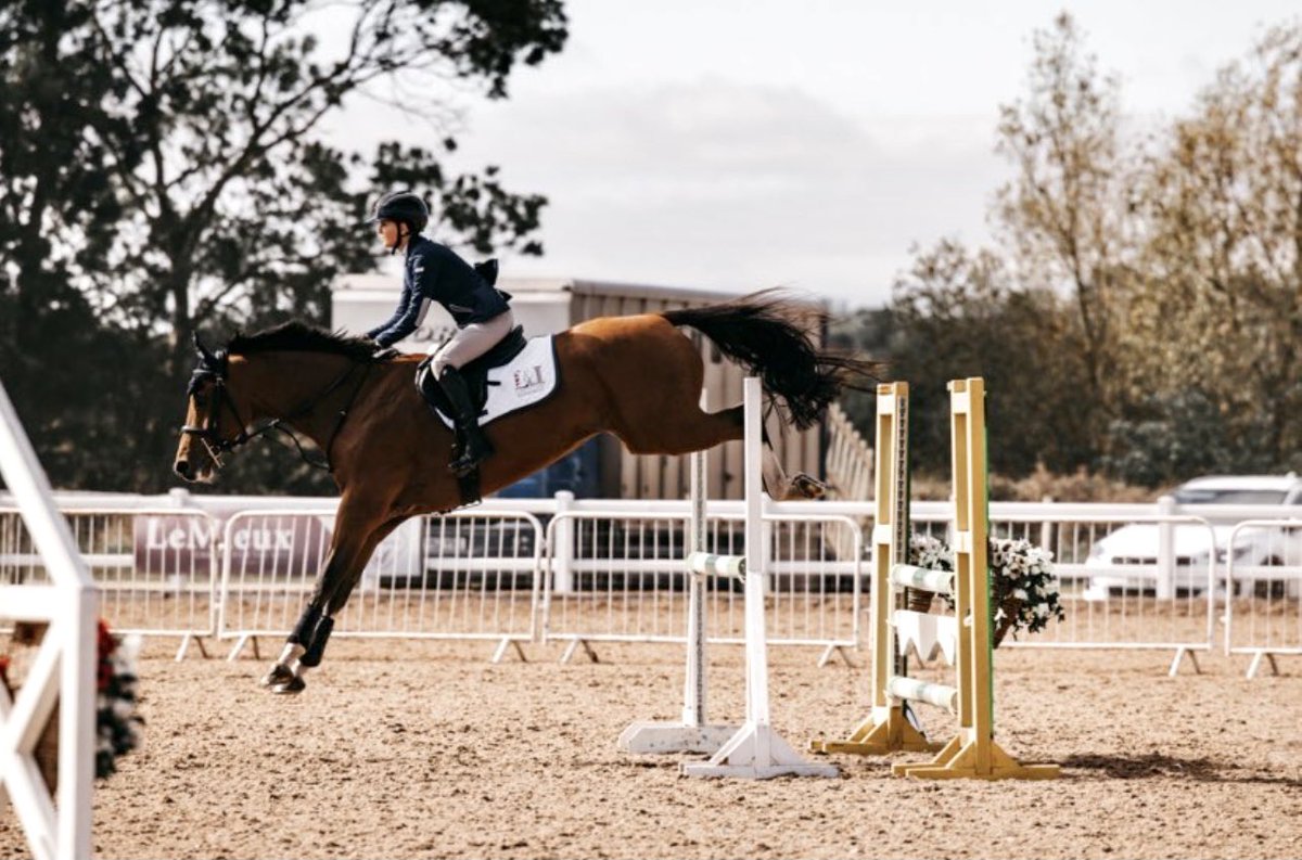 We’ve just for this picture from Arena UK of Jack Sparrow- definitely put a smile on our face! Happy hump day 🙋🏻‍♀️🙌🏼❤️ #showjumping