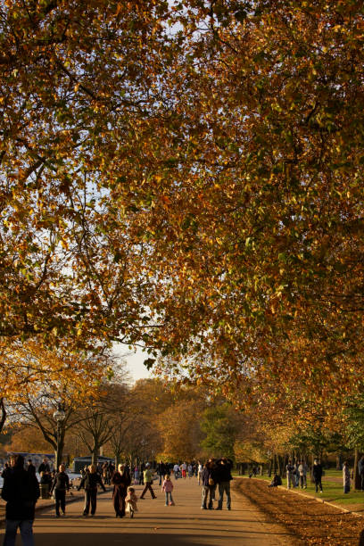 BestTubeTo's tweet image. 🍁Autumn spots and cozy plans in London.
SPOT Nº6 of a series of places to enjoy the fall season!

🌟HYDE PARK

🚇📍Stop at #HydeParkCorner / #MarbleArch / #LancasterGate / 
#Queensway tube stations
➡️Use Besttubeto.co.uk

@theroyalparks #HydePark #Autumninlondon