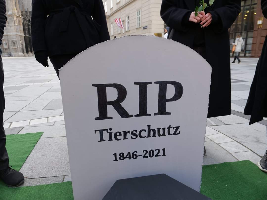 vgt_at's tweet image. Begräbnis: @ElliKoestinger und ihre @volkspartei tragen Tierschutz zu Grabe
Abgesichert durch #Messagecontrol und durch #Inseratenschaltungen in #Medien, glaubt die #oevp #Regierung, jeden Tierschutzfortschritt ungestraft blockieren zu können
vgt.at/presse/news/20… !B