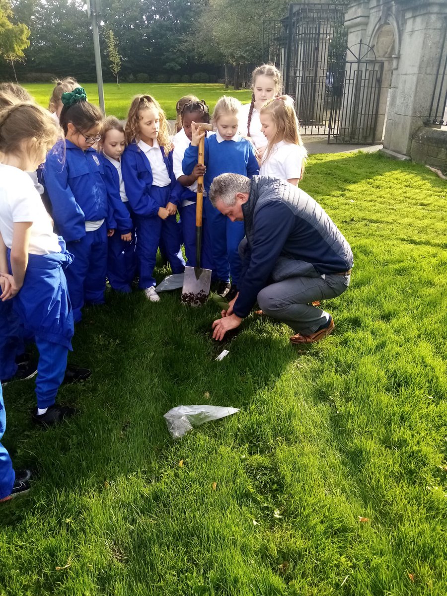 stpatricksgnslk's tweet photo. Mr. O'Gorman &amp; 2nd class planted a cherry tree today in O’BrienPark on #ClareStreet. Looking forward to seeing it grow with us. Our thanks to @TreeCouncil for donating our tree. @LimerickCouncil #biodiversity https://t.co/OuRwzWSvic