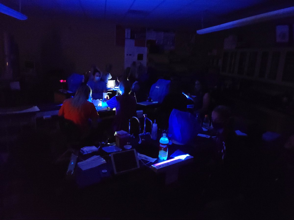 Findlay_Venom's tweet photo. Today in @ufindlay #microscopy were learning about light technology and fluorescent compounds @RCharvat_UF https://t.co/z2LJip0HpF