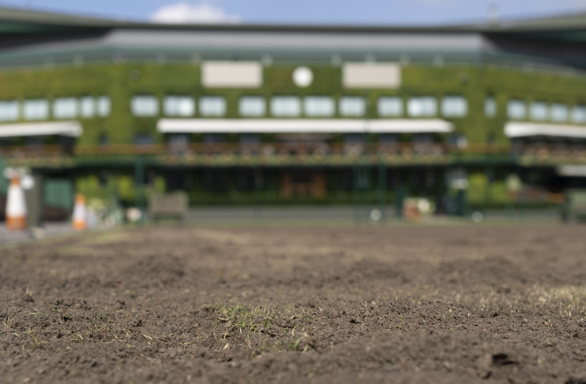 Wimbledon tweet media