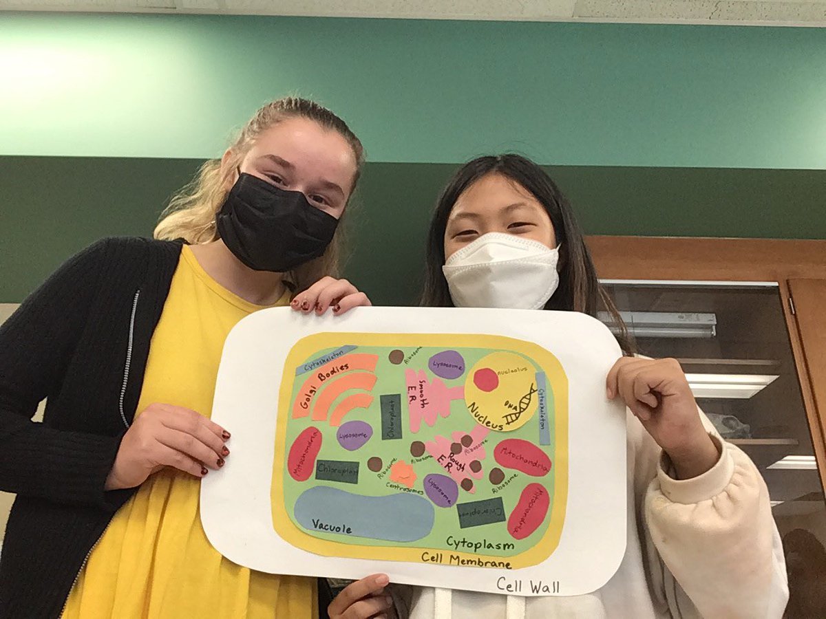 mmstigerpride's tweet photo. Mrs. Saltmar's 7th Grade Life Science students took cell-fies this week while learning about the parts of a cell. #NASDLearns https://t.co/Ya4iXFSqwn