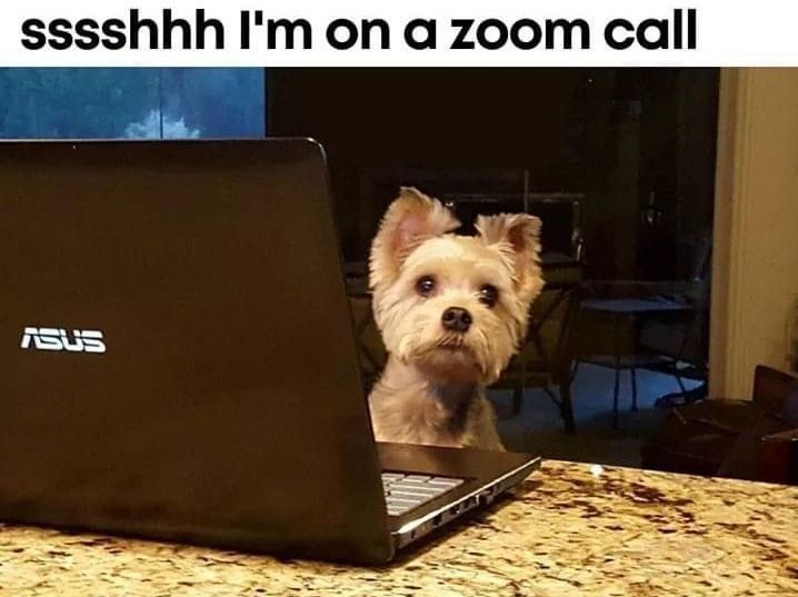 selectsavvyllc's tweet photo. Our new reality π€£
#Zoom #SelectSavvy #Recruiting #Staffing #BusinessOwner #WomenEntrepreneurs #ZoomJoke #OfficeJoke https://t.co/wlo3fj1eol