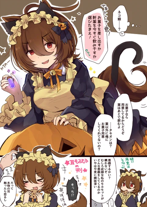 ハ口ウィン🐈🎃 トレタキ 