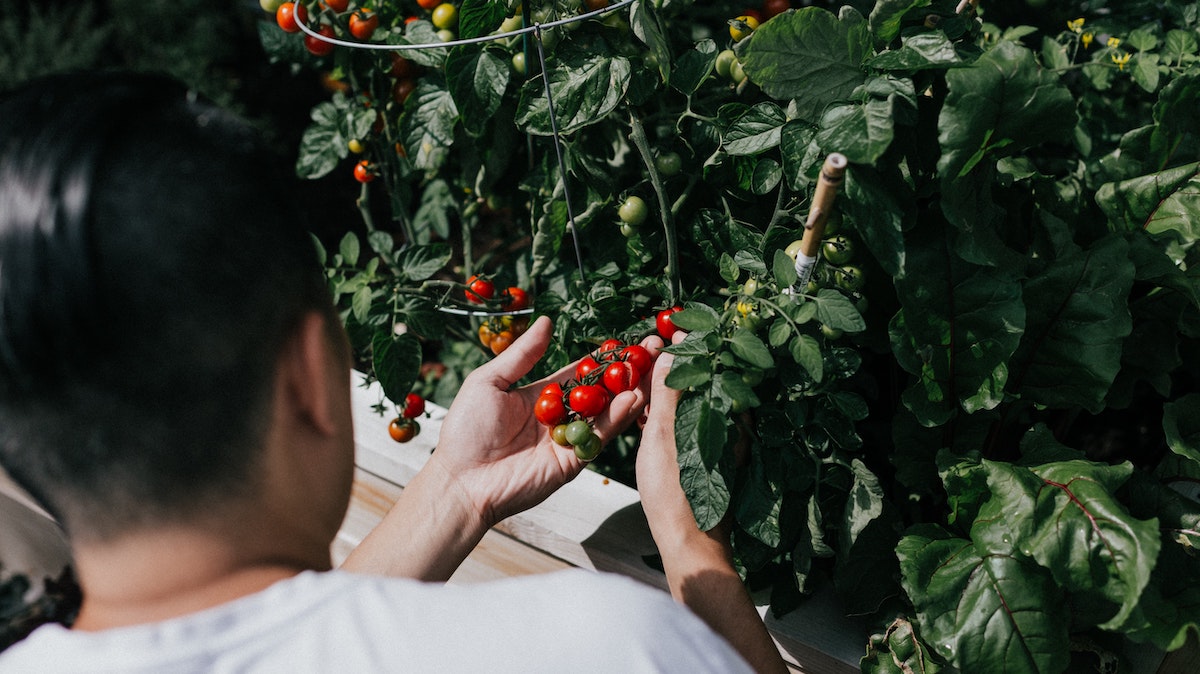 foodtank's tweet photo. Learn more about some of the incredible youth driving food systems transformation and working toward a better future: https://t.co/BOQK2IVqQ6 #WFDChat #WorldFoodDay (Q#7) https://t.co/ba93ghnoj8