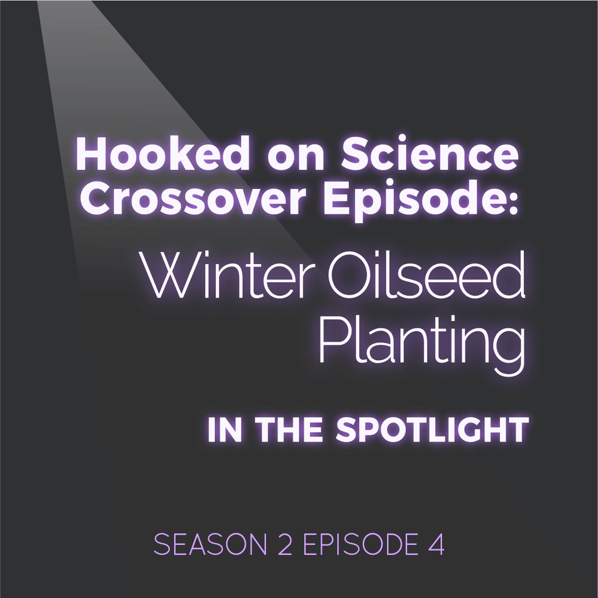 SpotlightThePod's tweet image. Episode 4 is a CROSSOVER episode!!🌱🌿🌽
So lucky to have talked with @JCubins from @UMN_AgroPlant and @hookedonscience podcast about her research on winter oilseeds and how they could help both the environment and farmers. She's a podcasting pro, so definitely tune in! #SciComm