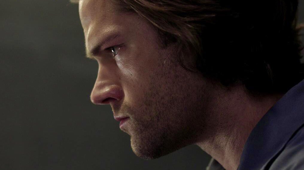 sam’s nose (@dailysamnose) on Twitter photo 