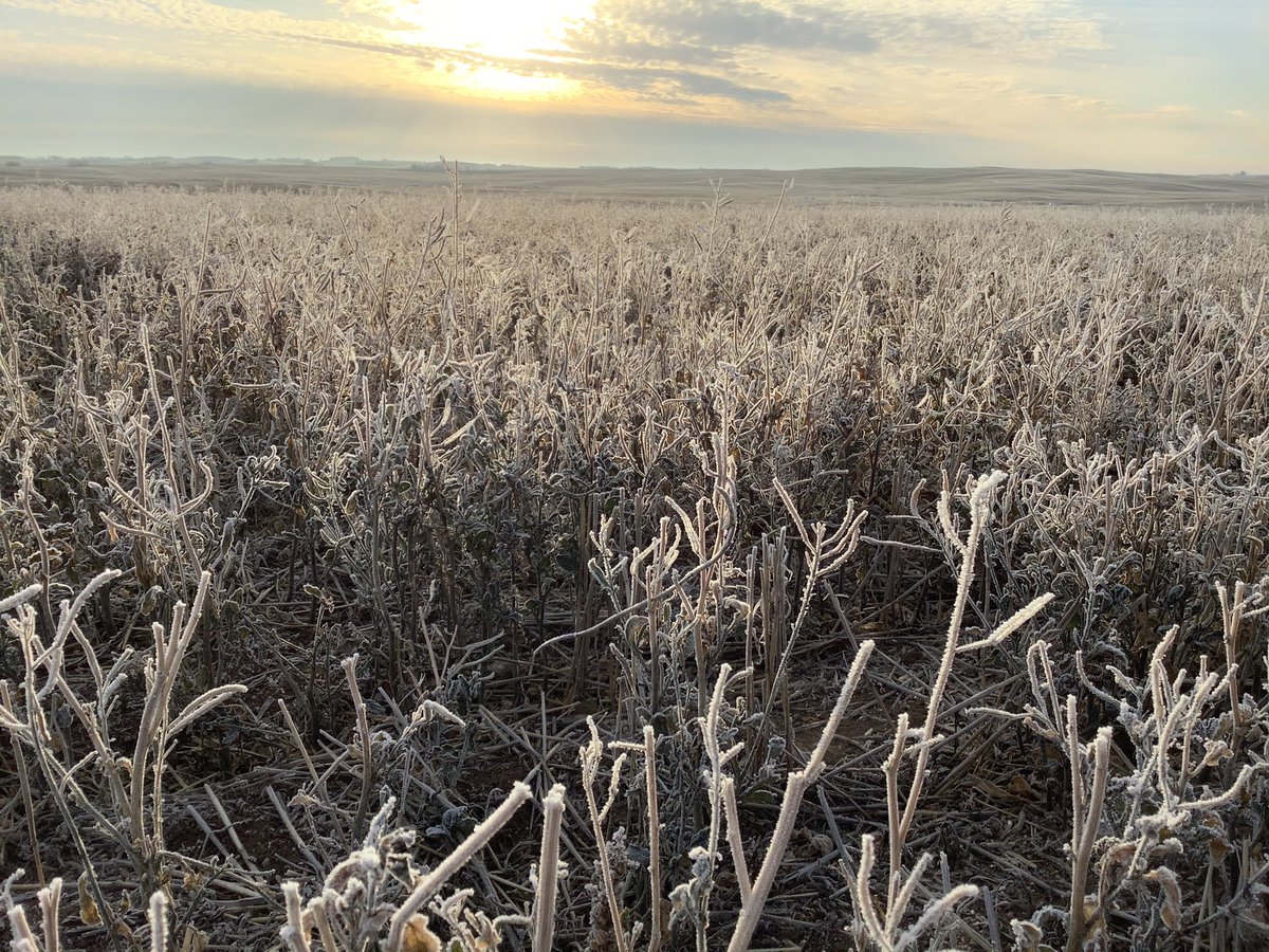 It’s a chilly one this morning. The frost is an “encouragement” to push through this final stretch of #soilsampling21 before the weather really changes and the snow slows it way down.