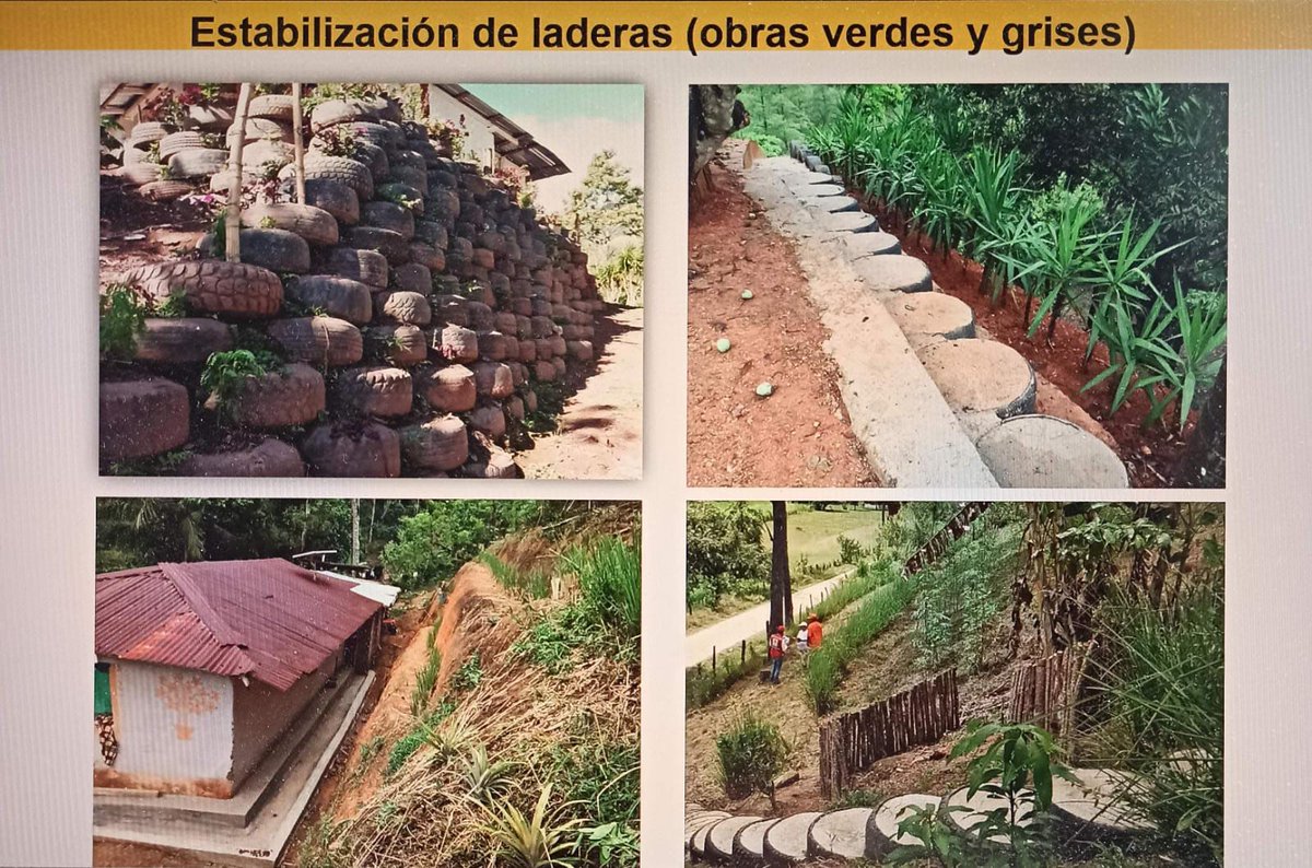 SkybirdN's tweet photo. Today at @IFRCInnovation #PlanetRedSummit we heard a lot about #NatureBasedSolutions, including the inspiring example on #BioEngineering and combating soil erosion from @cruzrojahon. Thank you to all presenters for the insightful presentations. You gave us some food for thought💡 https://t.co/2u5dV7srG5