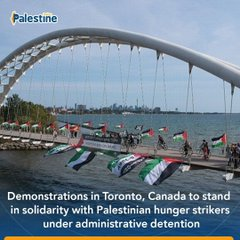 In a wonderful scene, Canadian people demonstrated in Toronto, Ontario to show their solidarity with #Palestinian hunger strikes under administrative detention inside Israeli jails during their national Thanksgiving Day,raising the #Palestinian flags high.
#FreePalestine <a href="/SavePa2/">SavePalestine</a>