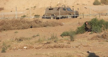 #Israeli "soldiers" open fire at #Palestinian farmers working their land to the east of Qarara in south #Gaza, forcing them to flee for their lives.
#BDS <a href="/SavePa2/">SavePalestine</a> 
english.palinfo.com/news/2021/10/1…