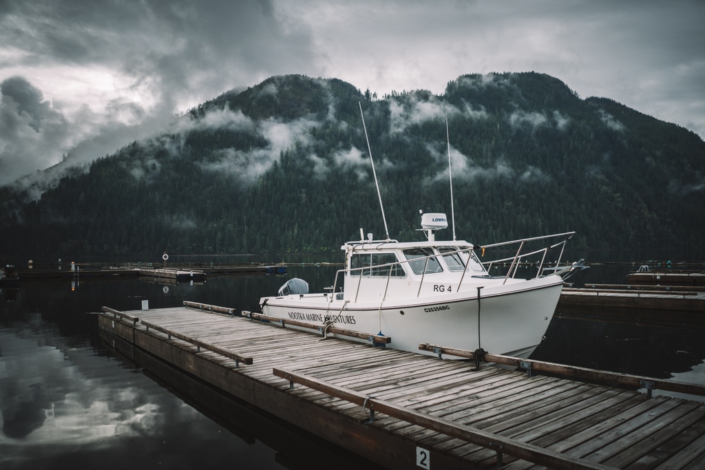 NootkaMarine's tweet photo. All aboard! βπ
#nootkamarineadventures #nootkasound #moutchabayresort #explorenootka #explorevancouverisland #tahsisbc #discovercampbellriver #vancouverisland #westcoast https://t.co/zzHrvAwQk4