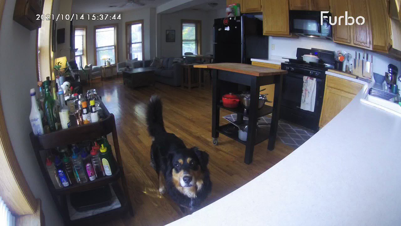 Shane Riordan on Twitter: