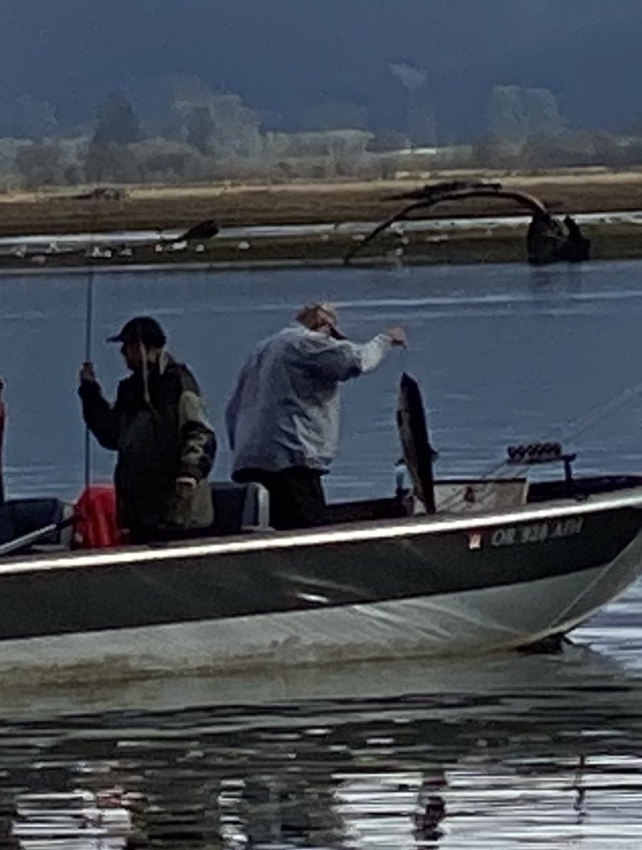 I didn’t catch any fish this morning but I did see someone catch a nice salmon. At least I caught a nice rainbow over Tillamook Bay…. ツ #fish #fishing #coho #northcoast #oregoncoast #tillamook #tillamookbay #oregon #lifeisbeautiful