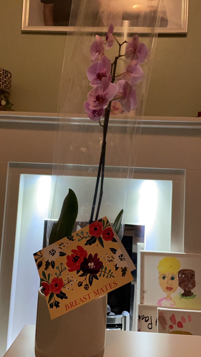 Thank you to Eileen and the fantastic group of women supporting each other @ breastmates.org for a great evening. Lovely to meet you all!