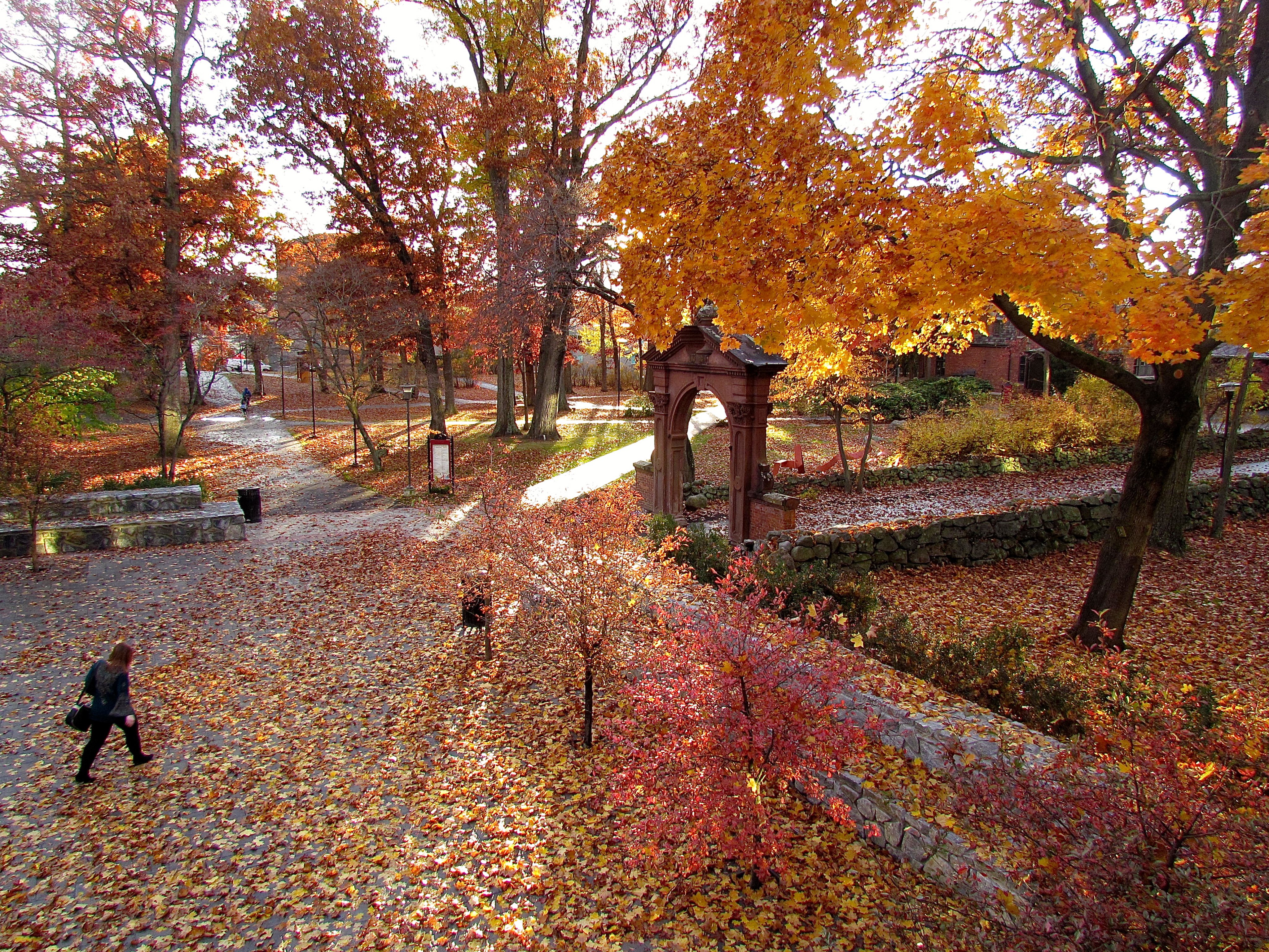 Ramapo college on sale campus
