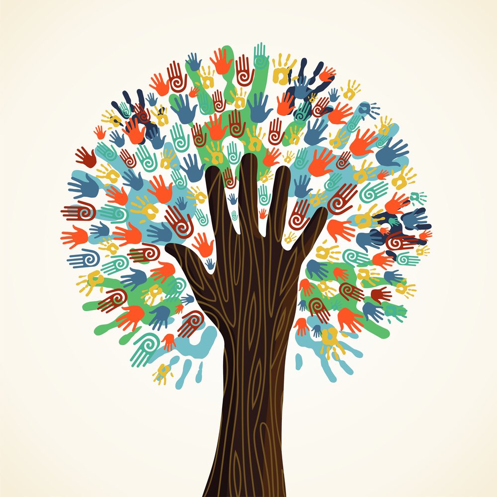 EmmaLVDG's tweet photo. Seeking an 8b clinical psychologist to lead on rehabilitation, recovery and service user involvement in community mental health services. https://t.co/iepRp6FqcD #bradford #clinicalpsychology #rehab #psychosis #job #mentalhealth #cocreation #peersupport #therapy https://t.co/9pobDHCABb