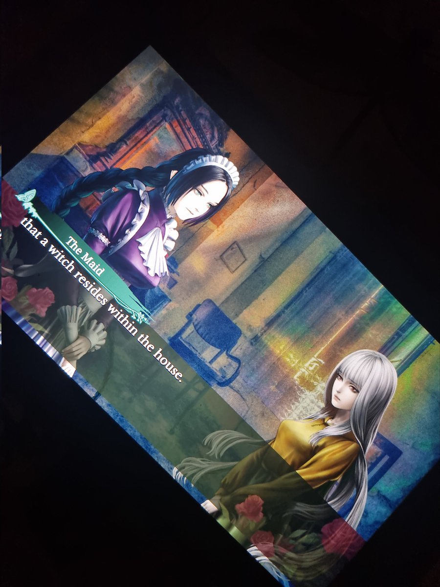 MyakuVT's tweet photo. Such pretties ♡ #hifm #houseinfatamotgana #visualnovel https://t.co/0THksVVmeG