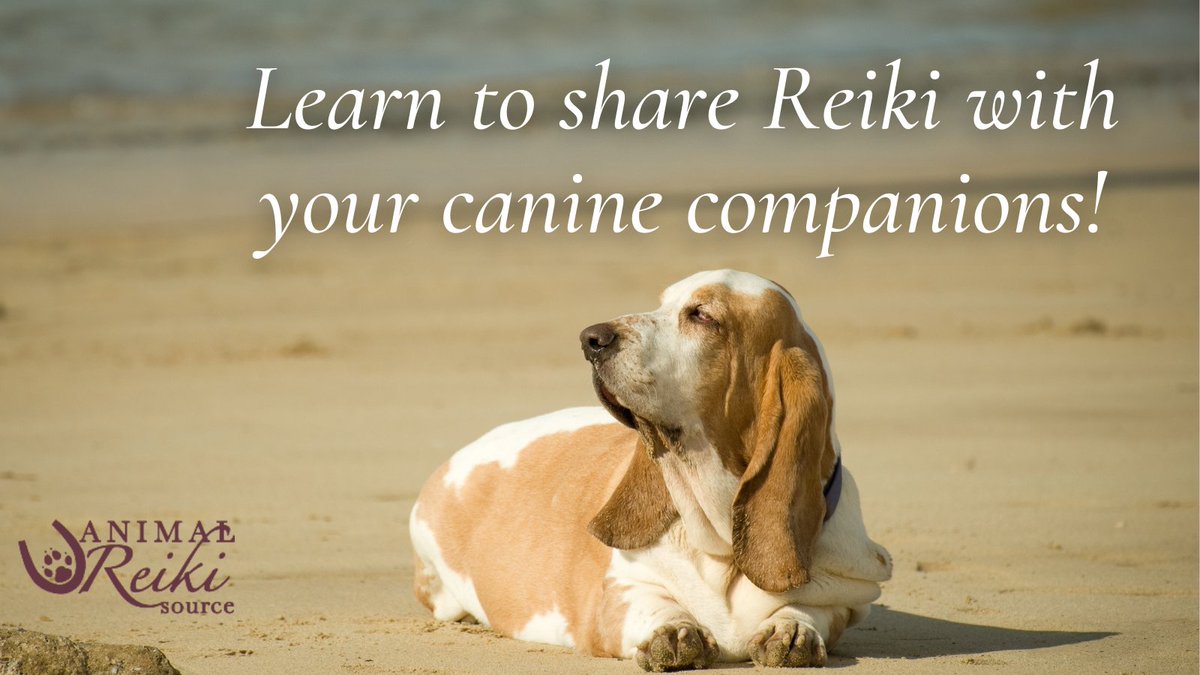 ARS_animalreiki's tweet photo. πΆπ§ββοΈ "I am thankful for βdiscoveringβ Reiki and have incorporated it into my daily life personally and professionally, offering Reiki to the shelter dogs where I volunteer, and to my own animals." βStudent Review of #ReikiForDogs
https://t.co/AvsbTRb96B #LetAnimalsLead https://t.co/ErMKAPD1rQ