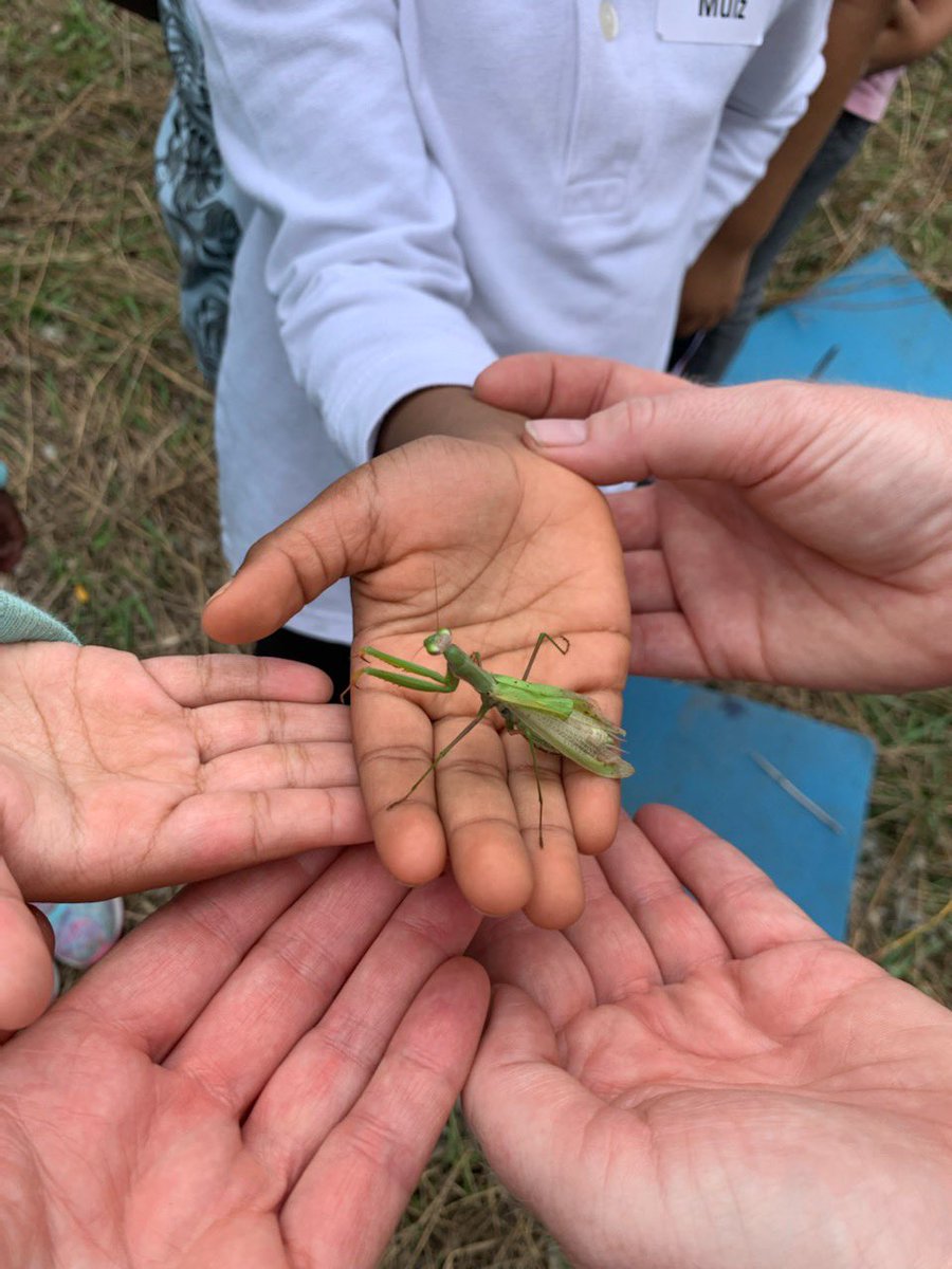 Students from <a href="/TDSB_CedarDrive/">Cedar Drive JPS</a> get up close and personal with local wildlife #toes_tdsb