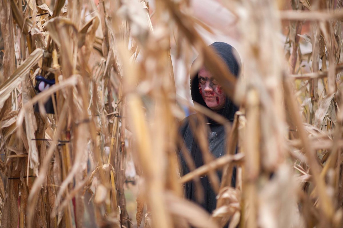 The Haunts of Merchantville registration closes 10/22. Get your house of horrors on the map today, forms.gle/25XzJv7WbBvZeS…. #monsterville #merchantville #hauntedhouse