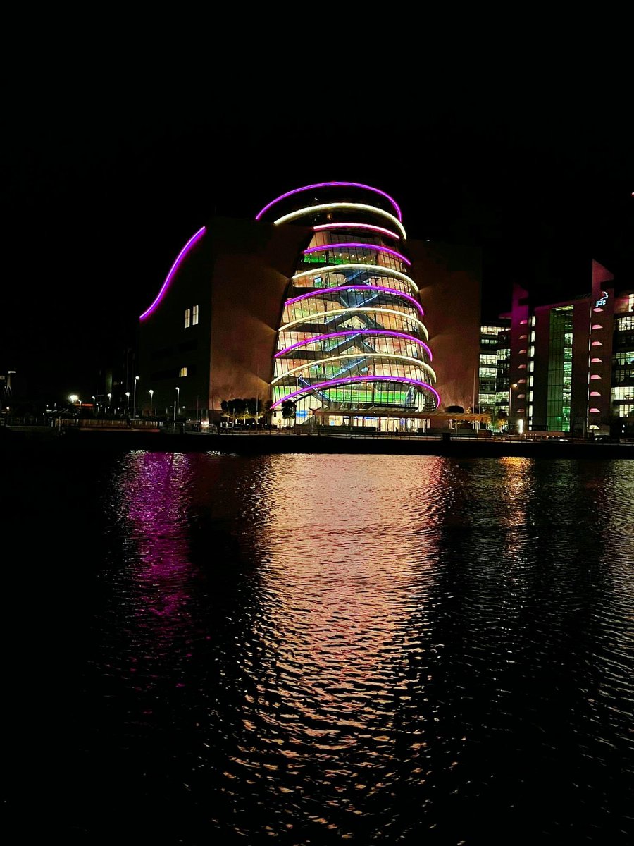 niamh_rowland's tweet photo. What a way to kick start DLD Awareness Day in Ireland with the National Convention Centre @TheCCD lighting up in Purple and Yellow 💜💫💜⭐️ An exciting day ahead tomorrow!! #ThinkLanguage #ThinkDLD @iaslt @RADLDcam https://t.co/B6VoYMIpHX