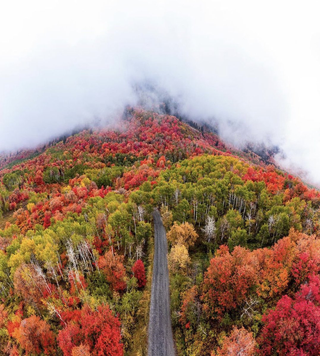 In honor of today’s snowstorm and the apparent end of autumn, sharing another #Wasatch fall photo from alum Dino Sokocevic (dinosaur802/IG) 📸🍁