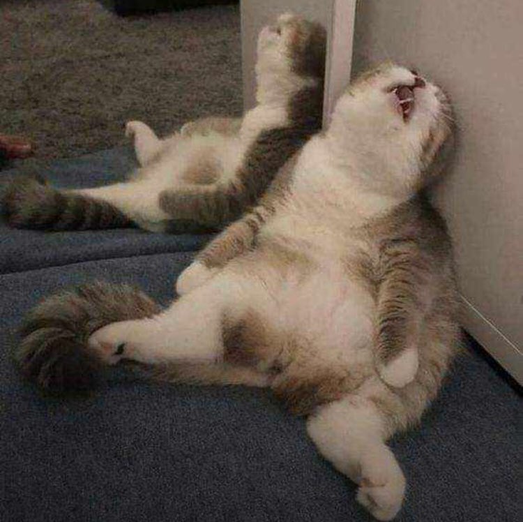 NEDworldwide's tweet photo. Even my tired is tired 😴😩
@Dray_Caesar https://t.co/oQOJuTfBDw