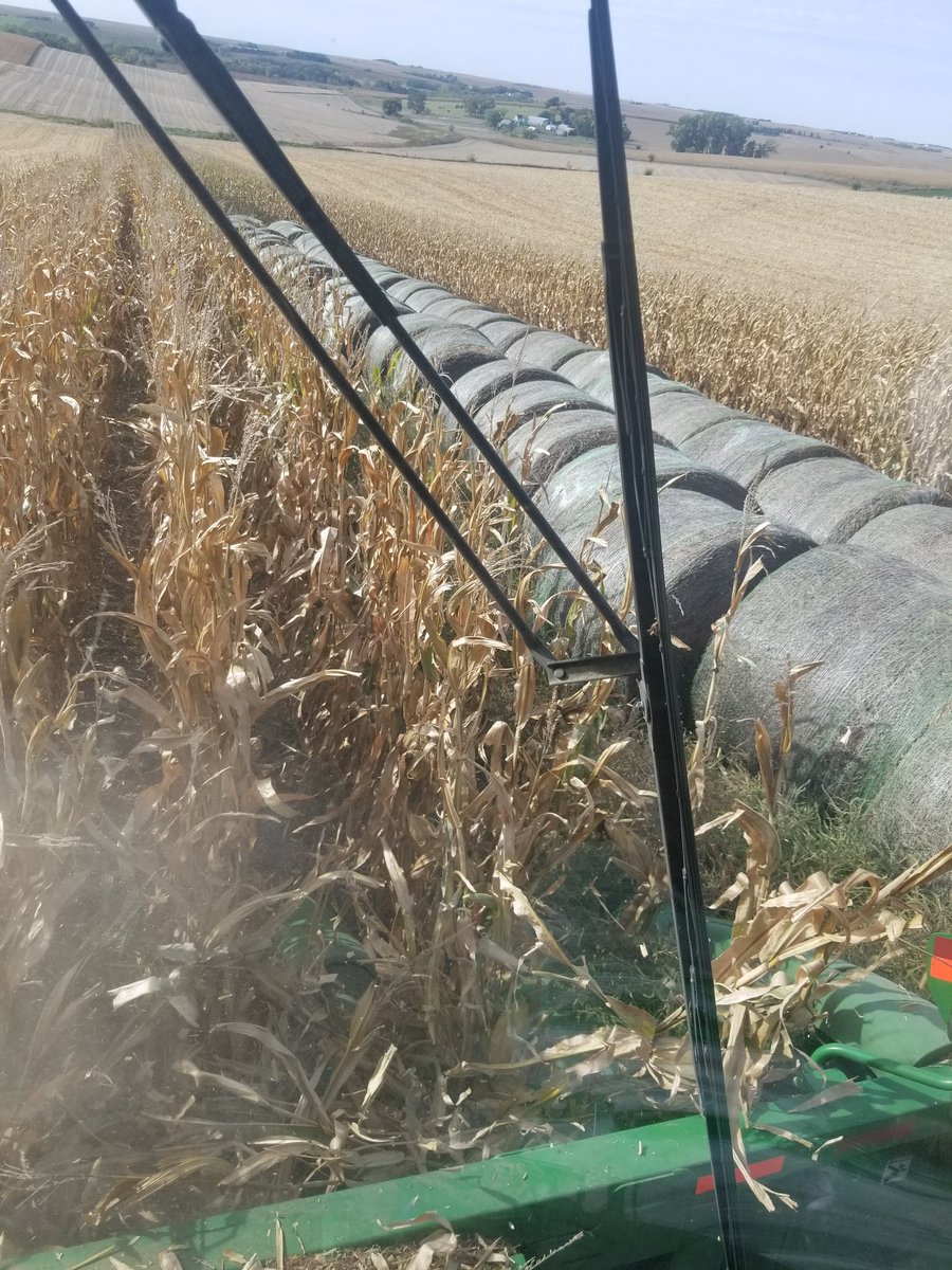 Torie_L's tweet photo. That's where I left those bales https://t.co/hxZ5il54Jt
