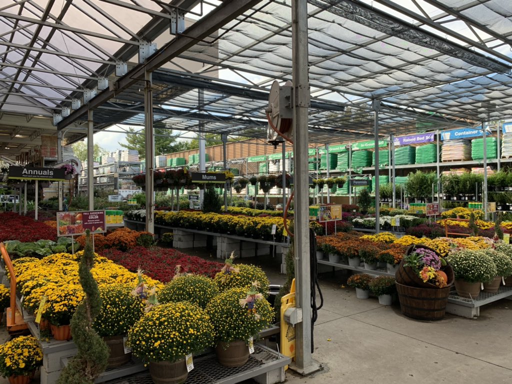 fore_amanda's tweet photo. HD2313 Amazing job Brandon! Thanks so much for all your help today. Has all the fall feels! 🎃🍂🍁🍃 @BellNursery @THDToddMurdoch @EldredPeterson @Pat_Fischetti @rmathis333_rick @NealMattison https://t.co/h0zaODvbKL
