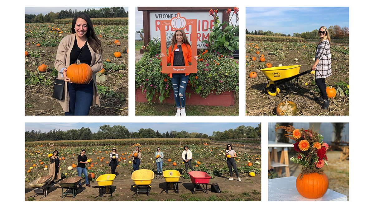TangerineBank's tweet photo. Fall fun on the farm 🧡 Today, #TeamTangerine gathered at @RobintideFarms Pumpkin Patch to pick the perfect pumpkin, wander through the corn maze and connect with colleagues over apple cider. This is what Orange spirit is all about! 🎃 https://t.co/ENUzYdpz18