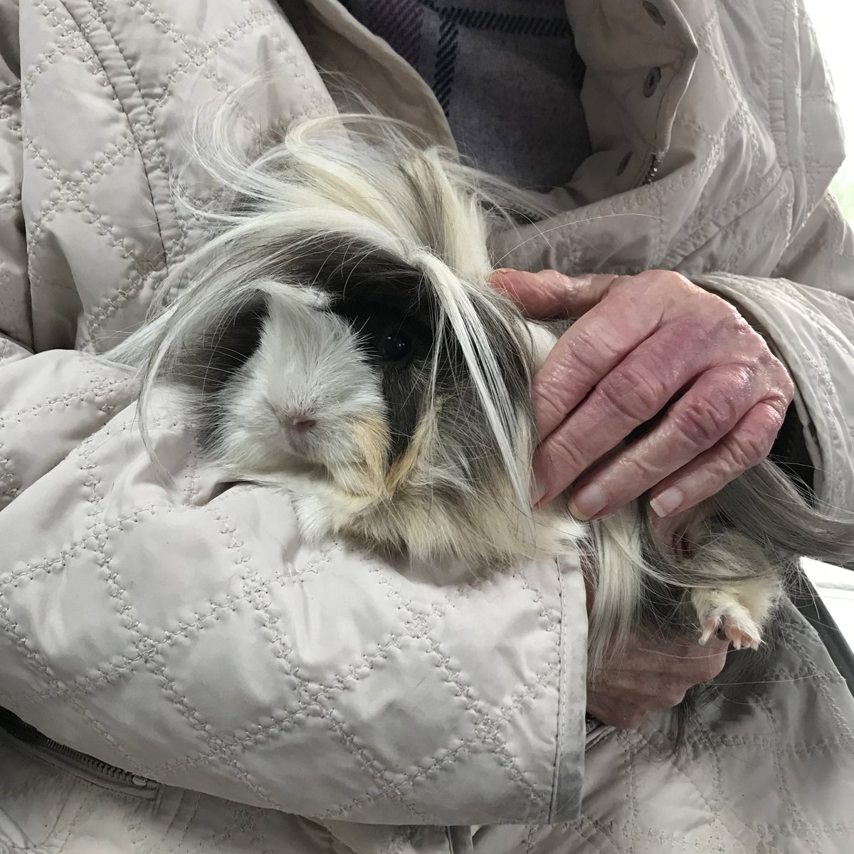 farmgemma's tweet photo. Lovely afternoon away from my desk, welcoming back some familiar faces from @Time_Talents &amp; @CompassSE16 students for some great chats, animal cuddles, and a walk around the Farm. Fantastic to see our younger volunteers sharing their experiences and knowledge so confidently! https://t.co/5BTuZwTkHE