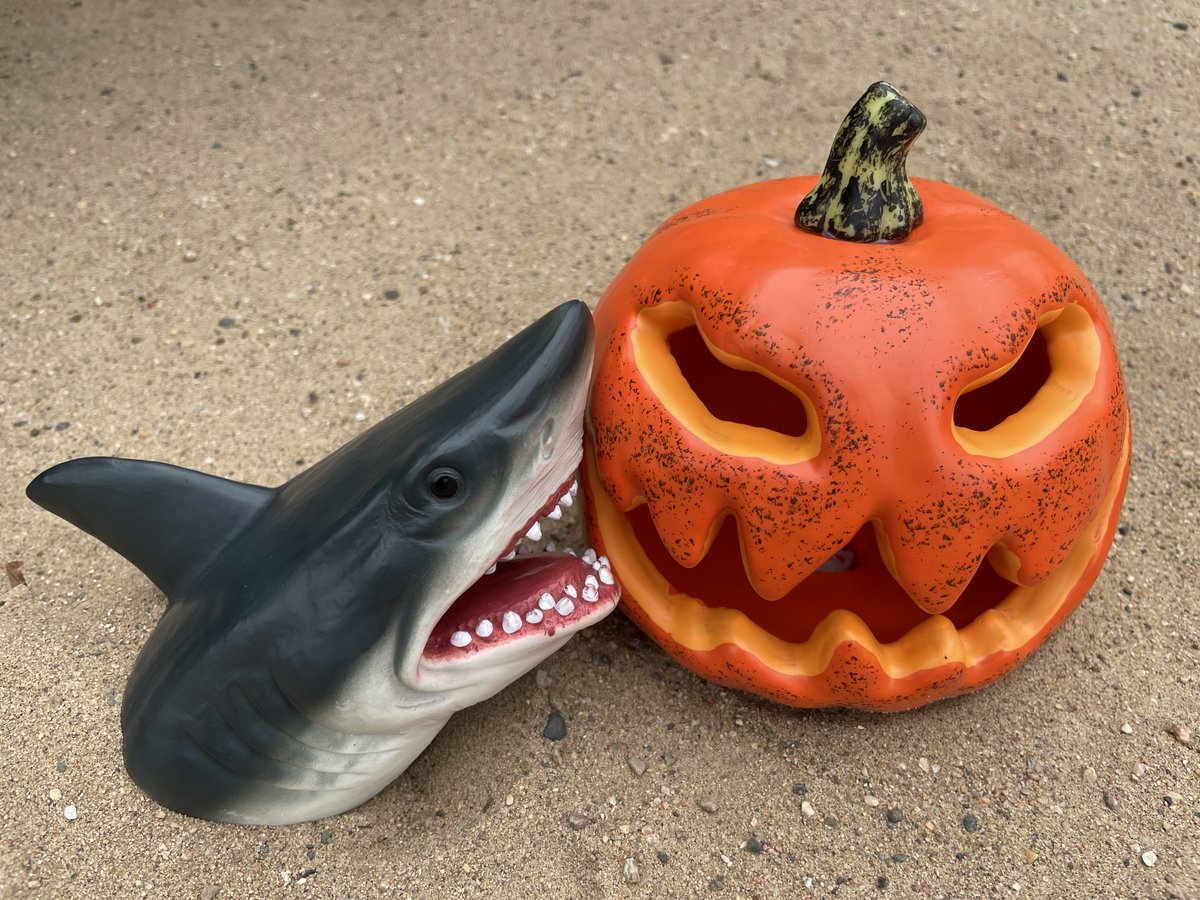 Diving in Sask. is being taken to new depths! Tomorrow on The Morning Edition w/ <a href="/SLangeneggerCBC/">Stefani Langenegger</a> we'll find out how Sharky here may make an appearance at an underwater pumpkin carving contest in Sask. on Sunday. <a href="/prunabella/">Tracy Wilson</a>