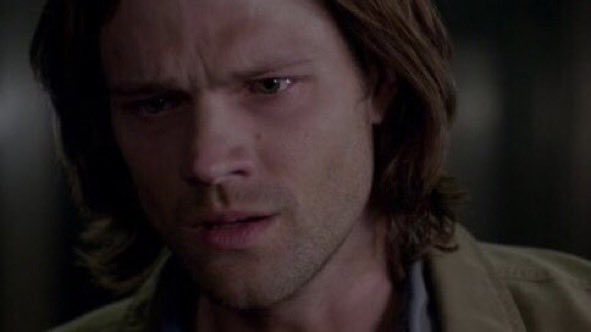 sam’s nose (@dailysamnose) on Twitter photo 