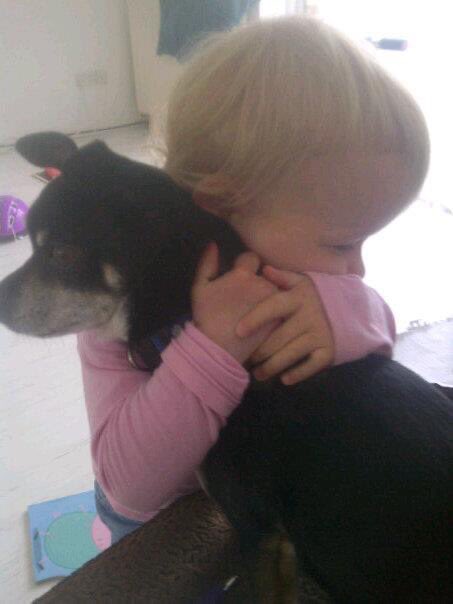 GavinGeddes7's tweet image. We’ve just had our first family dog put to sleep. Rod was with us for nearly 16 years so he had a good innings but we are all still gutted beyond belief 🥲🇬🇧 #amansbestfriend #RIP #dogheaven 🙏