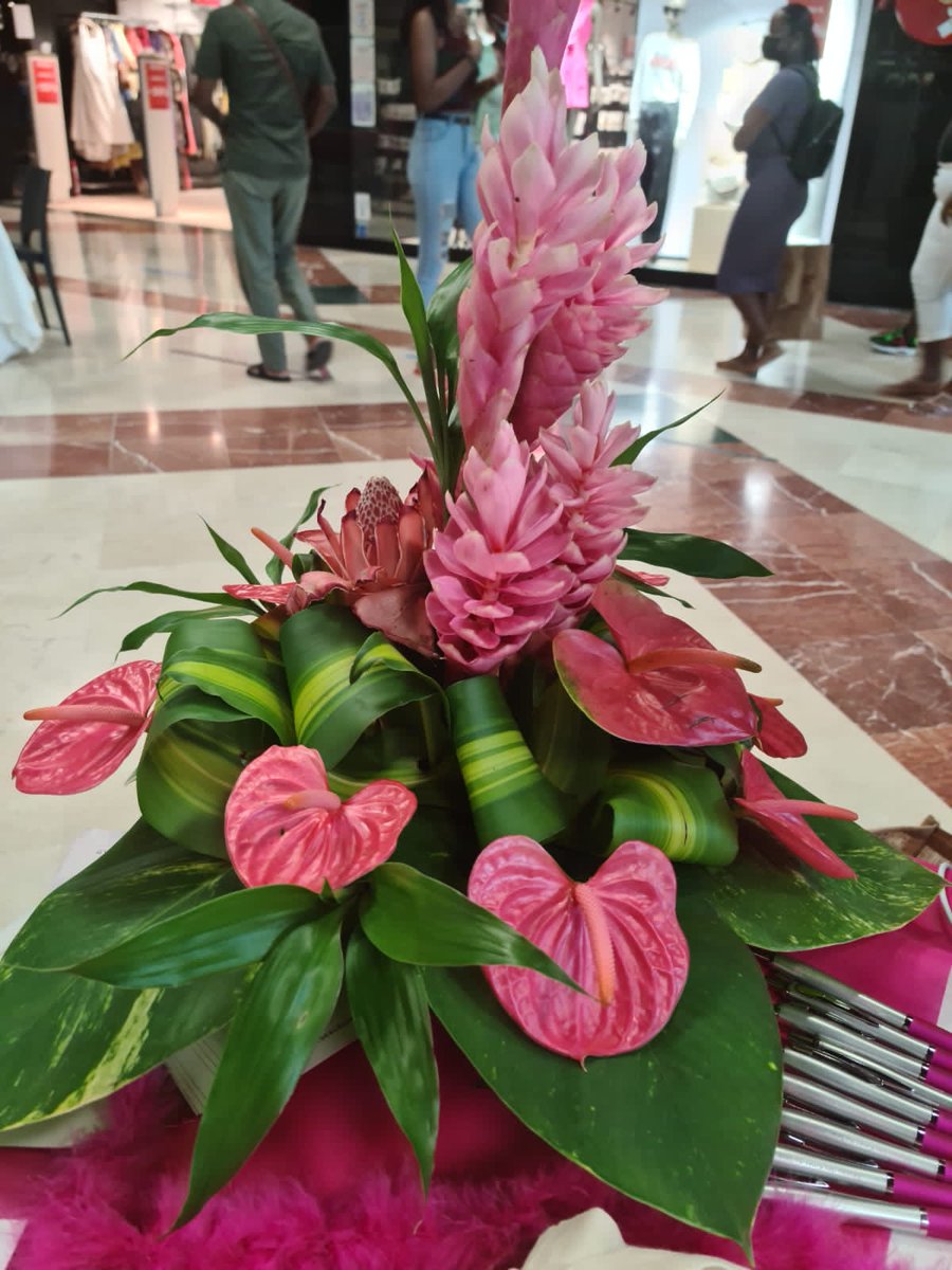 LyceeLumina's tweet photo. Dans le cadre de la campagne de sensibilisation sur le cancer du sein "Octobre Rose", les élèves de la Première Métiers de l’Accueil ont confectionné des cartes d’encouragement qui ont été remises à l'association Ma Tété @acmartinique #Octobrerose💗💗 https://t.co/MM9AvvS9uO