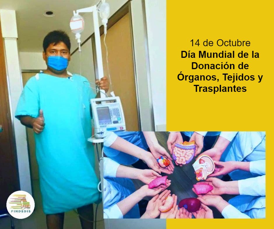 findedis's tweet image. 14 de octubre, día mundial de la donación de órganos y tejidos
findedis.org/noticias/
#FINDEDIS #Efemérides