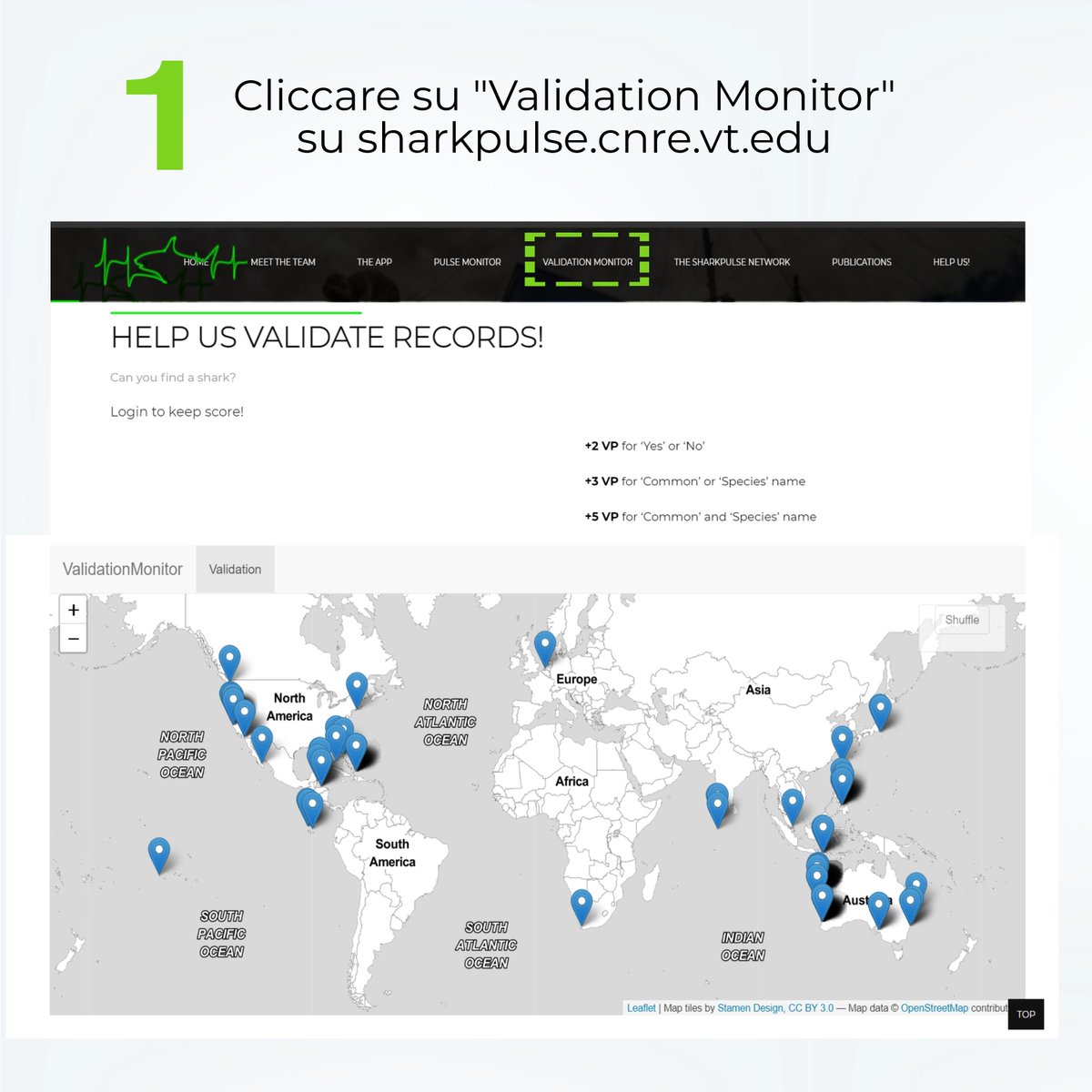 sharkPulse_italia tweet media