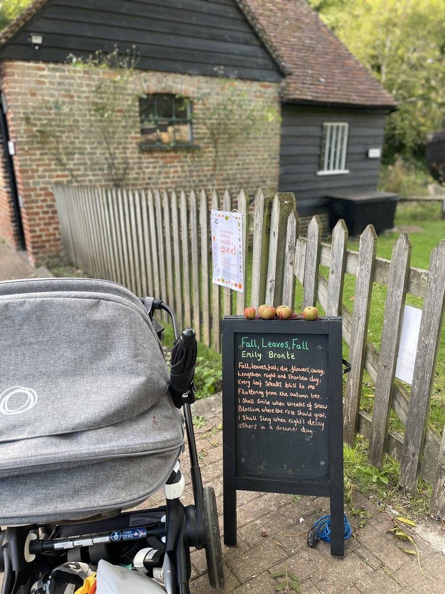 We’ve been enjoying the poetry <a href="/NTRiverWey/">NTRiverWey</a> #DapduneWharf #AutumnLeaves