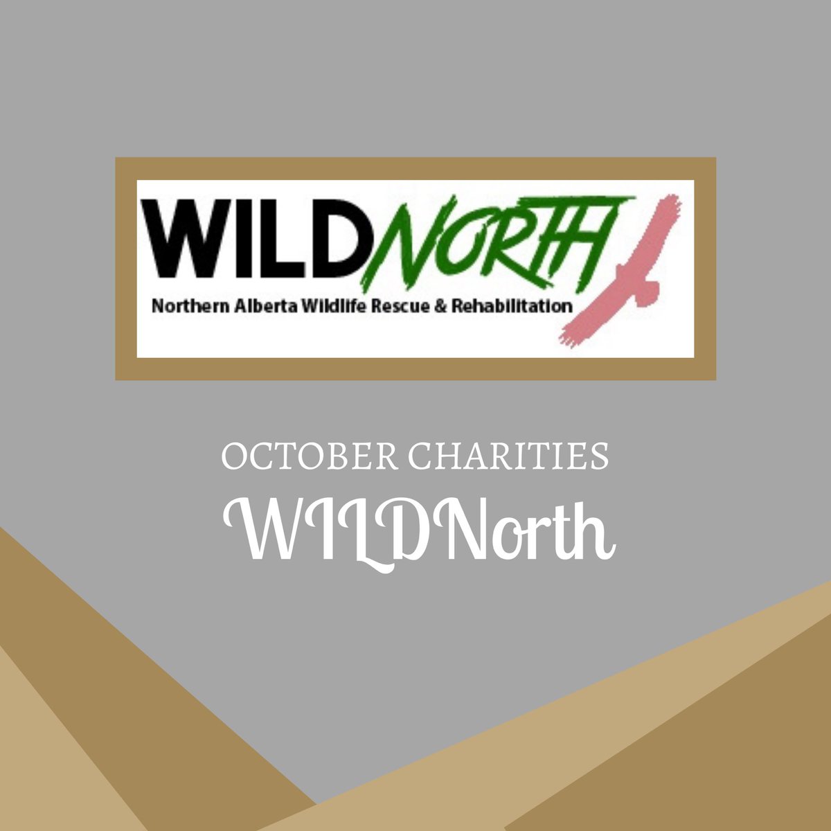 The 100 YEG tweet media