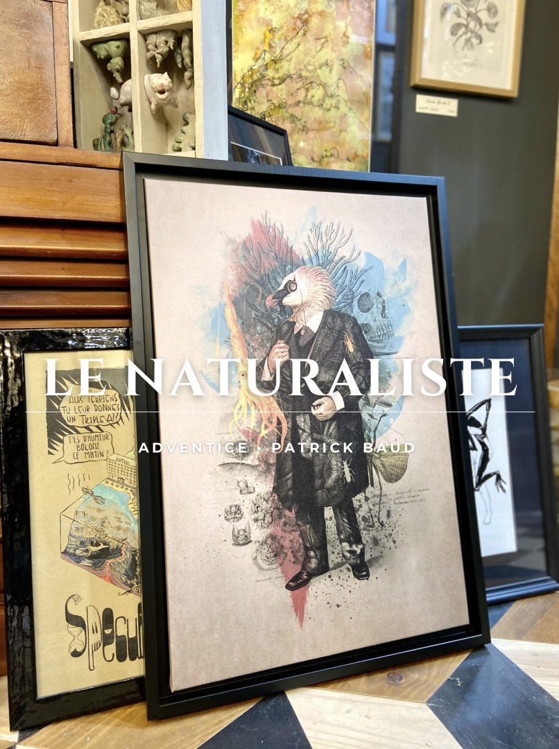 Time Corp Gallery tweet media