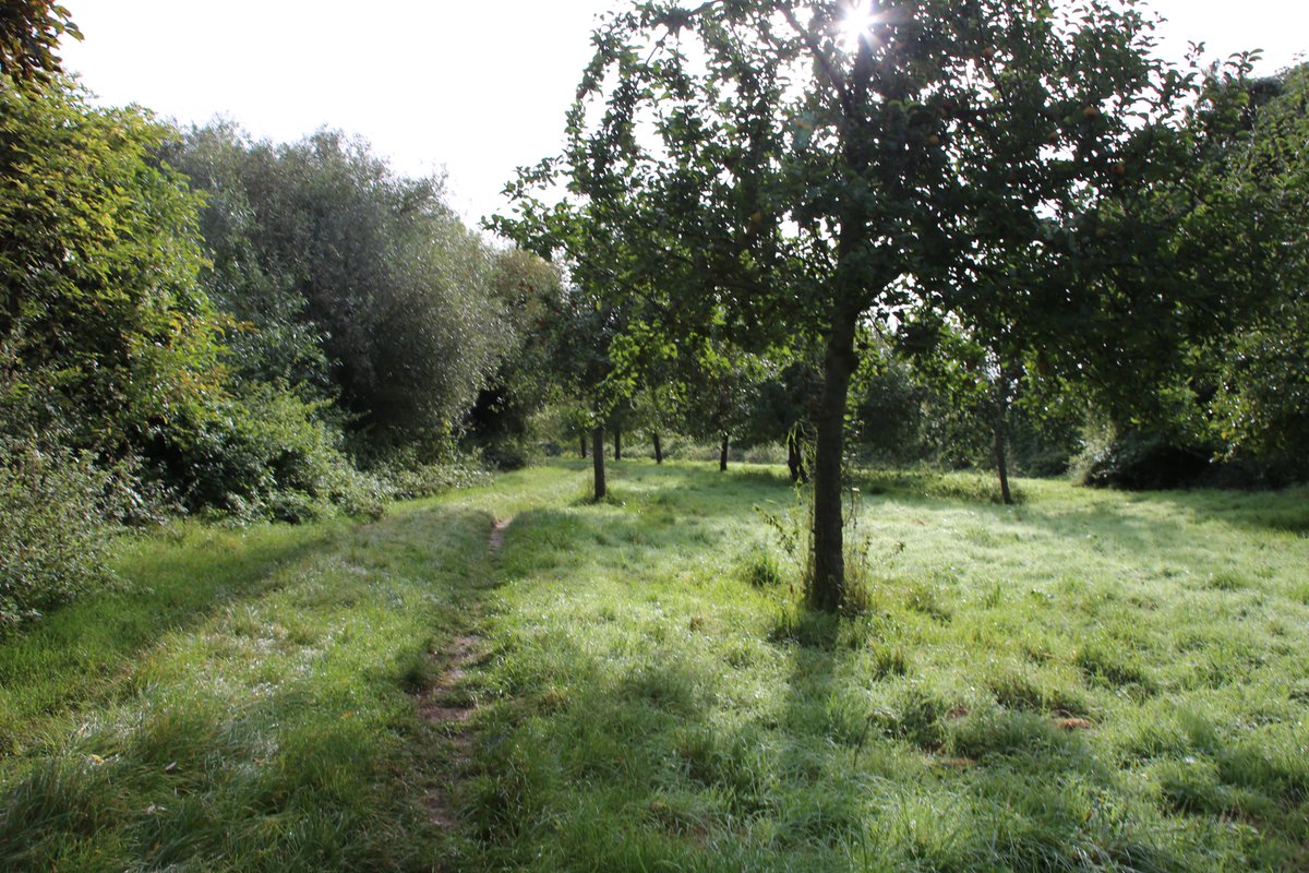 BBCGlos's tweet photo. ๐๐Students from The Apperley Centre in Stonehouse help @martinhayes9 of #GloucestershireOrchardTrust take in this year's harvest at #Longney.
Listen with @kitchtweet on @BBCGlos
https://t.co/PwOyceqfT9 https://t.co/2ykKNbNFWU