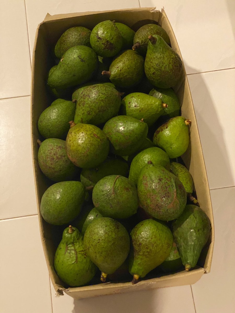 lokchuisun's tweet photo. 🥑🥑🥑🥑🥑🤩🤩🤩🤩🤩 https://t.co/XBMoPpyNDw