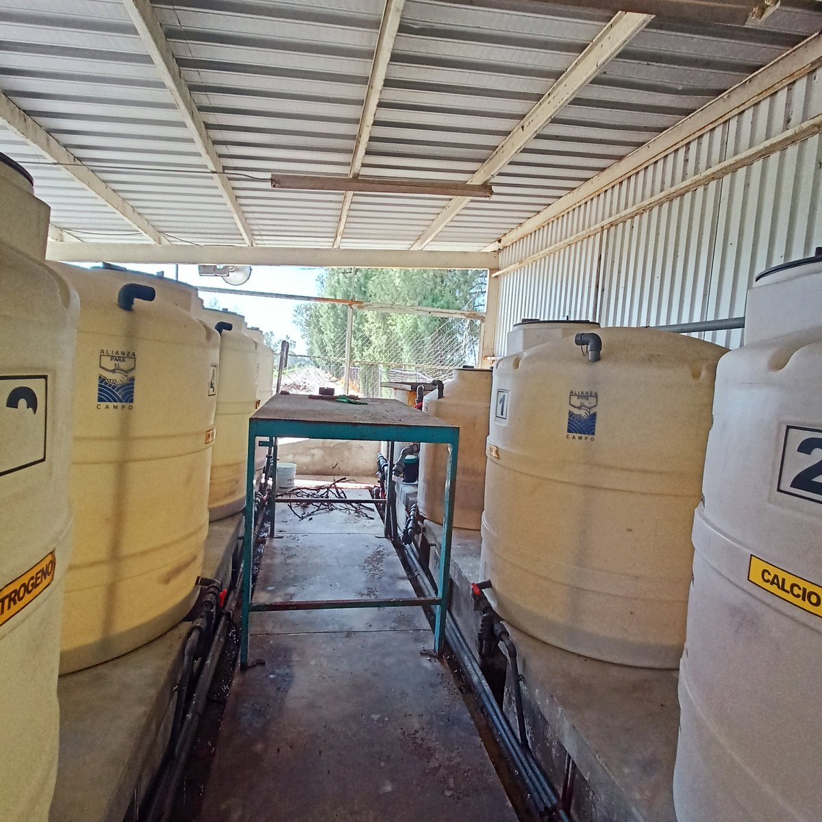 Capacitación en riego por goteo para regadores Rancho Tolentino, Villagrán, Gto.