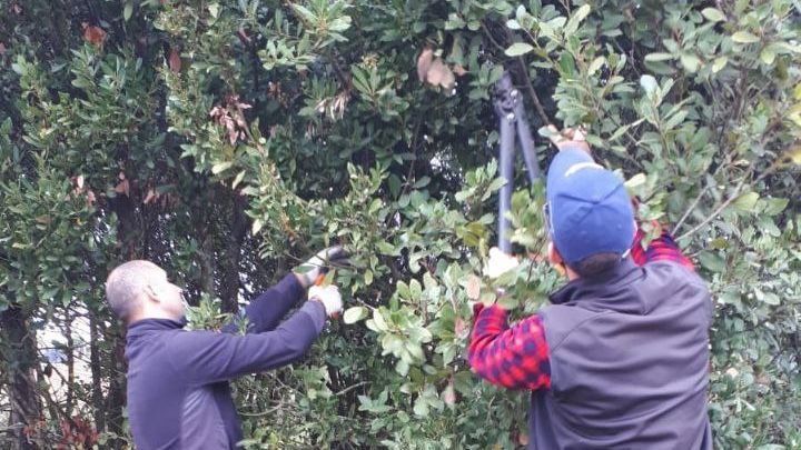 LifeSamfix's tweet image. Today with the support of the Carabinieri Forestali we pruned some laurel plants in the @Parco_Circeo infested by #Xylosandrus. We implemented mechanical control.

#circeo #samfix #lifeprogramme #alloro @LIFEprogramme