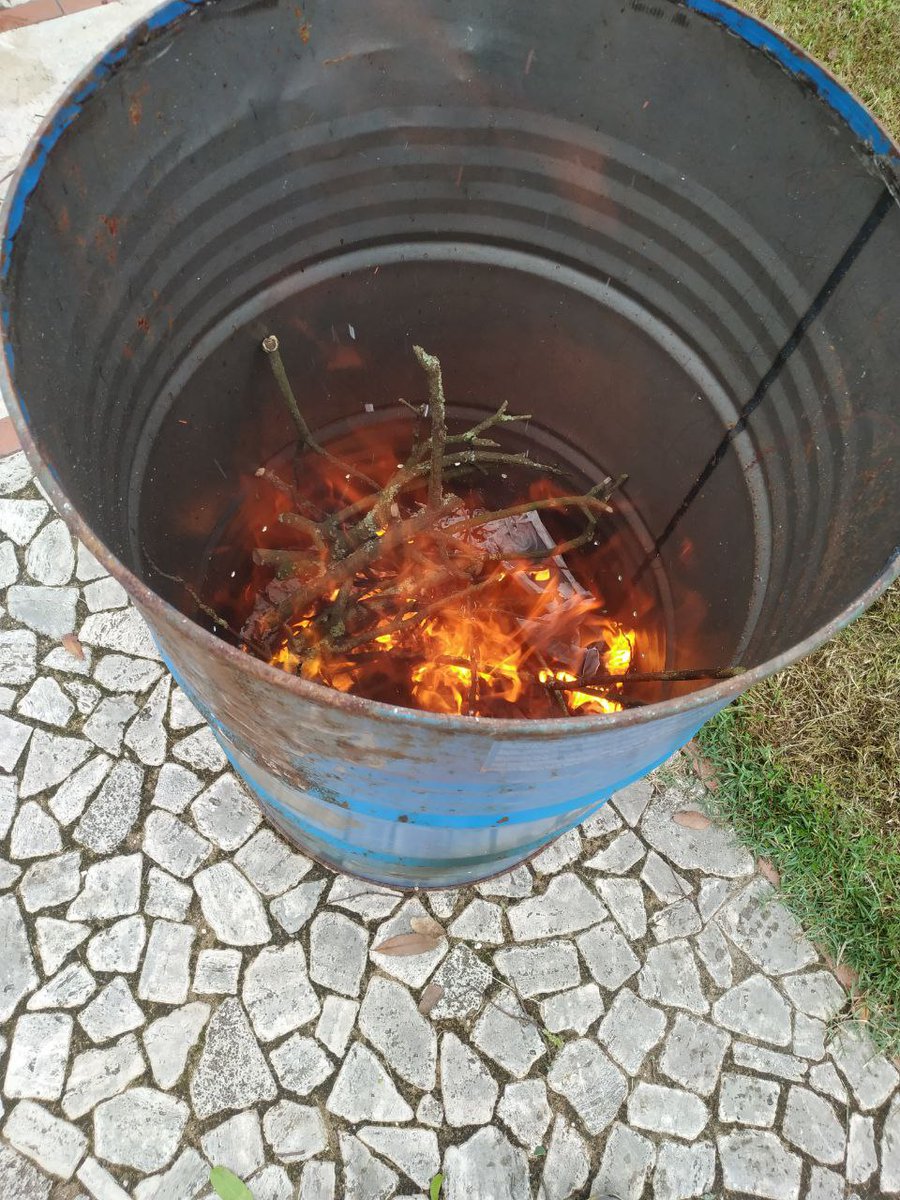 LifeSamfix's tweet image. Today with the support of the Carabinieri Forestali we pruned some laurel plants in the @Parco_Circeo infested by #Xylosandrus. We implemented mechanical control.

#circeo #samfix #lifeprogramme #alloro @LIFEprogramme